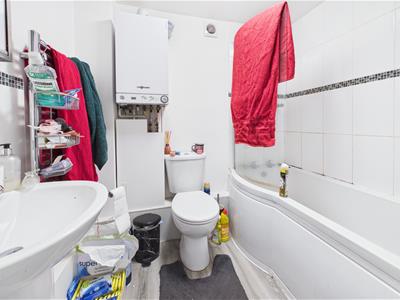 Picture 23